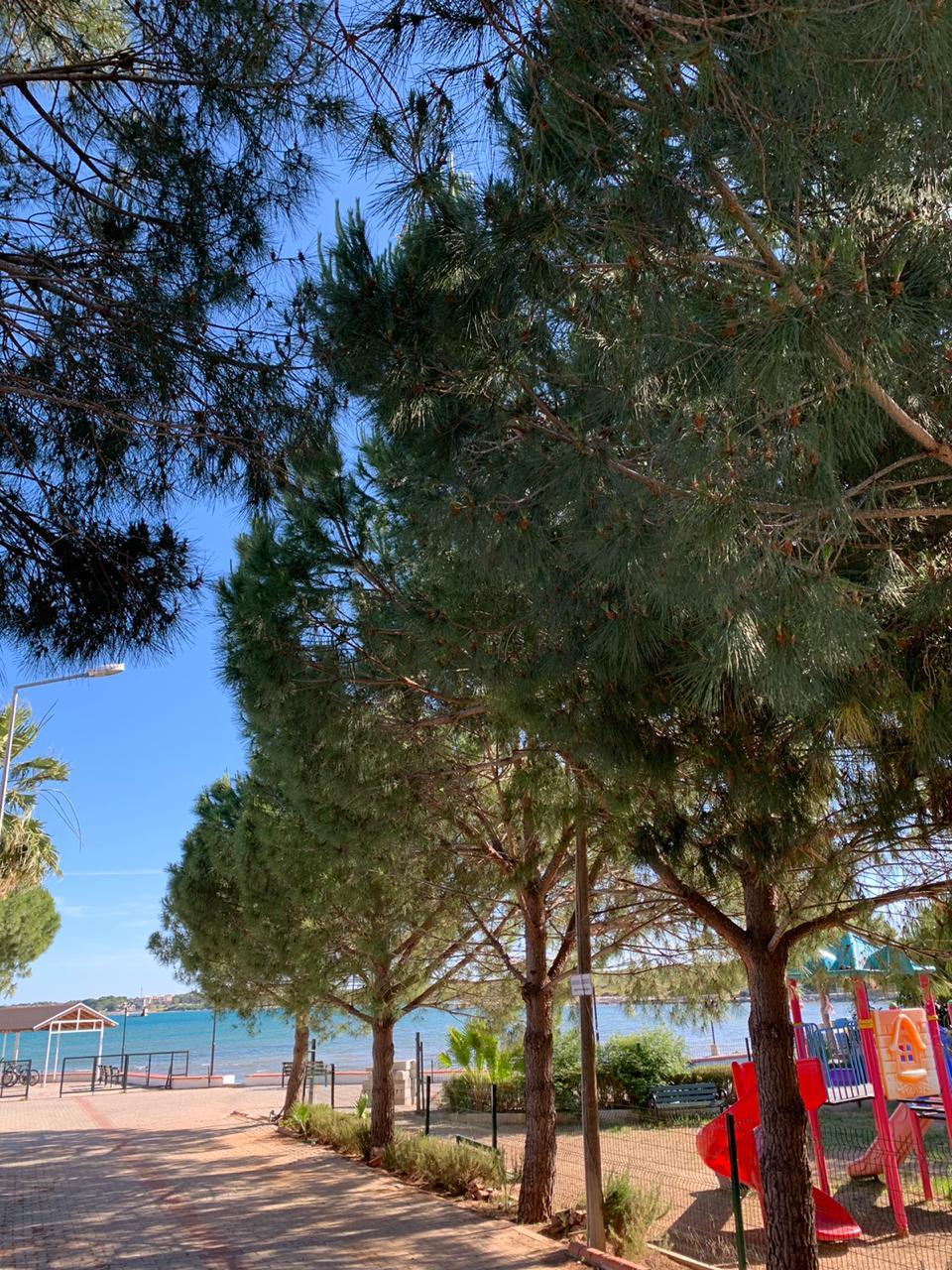 Hotel Fiesta Beach Didim Exterior foto