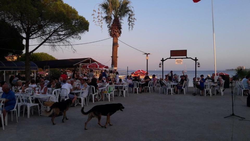 Hotel Fiesta Beach Didim Exterior foto